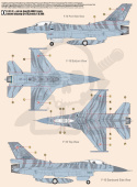 Mistercraft G-116 F-16 C Block 54+ Jastrząb Hawk 1:48