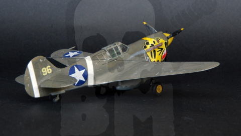 Mistercraft D-202 P-40E Aleutian Tiger 1:72