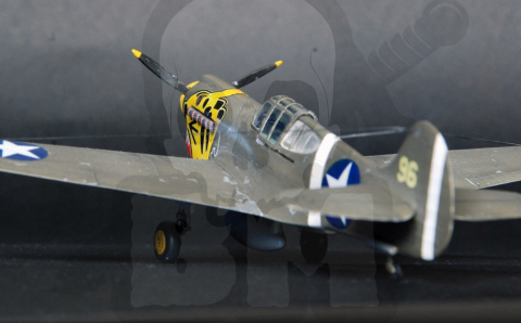 Mistercraft D-202 P-40E Aleutian Tiger 1:72