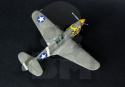 Mistercraft D-202 P-40E Aleutian Tiger 1:72
