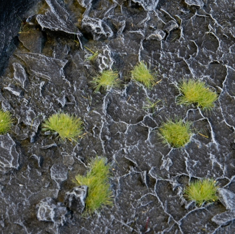 Gamers Grass: Grass tufts - 2 mm - Light Green (Tiny)