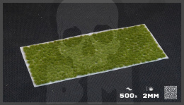 Gamers Grass: Grass tufts - 2 mm - Dry Green (Tiny)