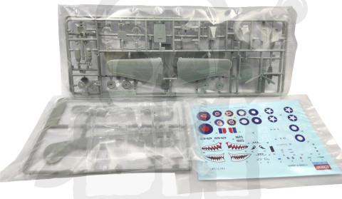 Academy 12465 P-40 M/N Warhawk 1:72