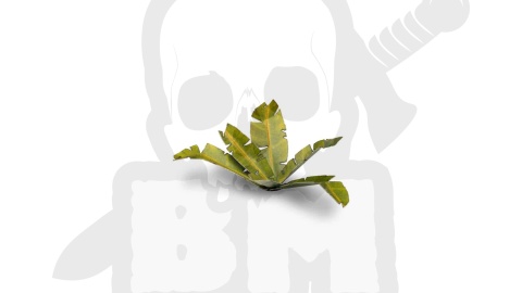 Gamers Grass: Laser Plants - Banana Tree