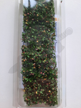 Wczesnojesienne liście i gałęzie buku (15x4 cm)