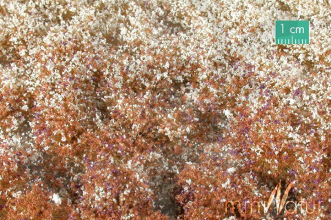 Tuft - Późnojesienna kwitnąca roślinność 2 (15x4 cm)