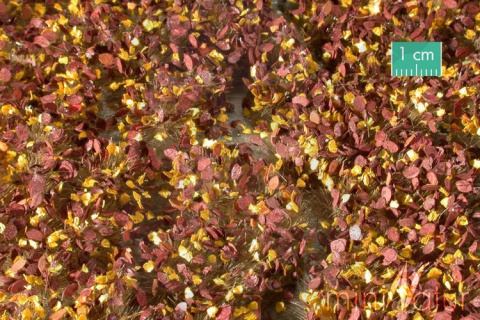 Tuft - Późnojesienne chwasty 2 (15x4 cm)