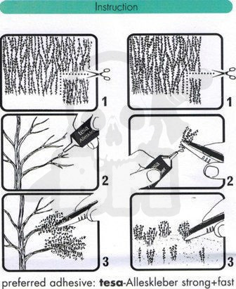 Wczesnojesienne liście i gałęzie buku (15x4 cm)