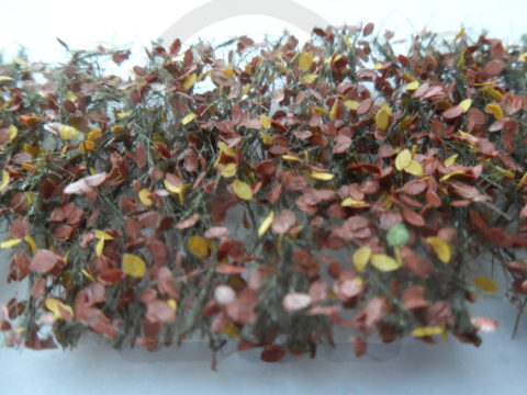 Późnojesienne liście i gałęzie buku (15x4 cm)