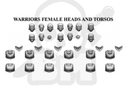 Stone Realm Warriors female heads and torsos