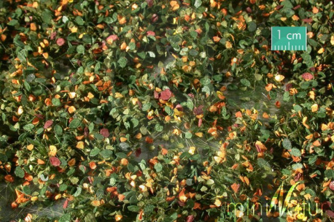 Tuft - Wczesnojesienne chwasty 2 (15x4 cm)