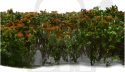 Tall Shrubbery - Brown Green - wysokie krzewy
