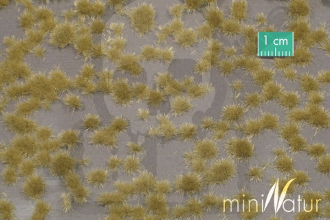 Tuft - Krótka późnojesienna trawa (15x4 cm)