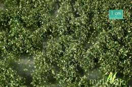 Tuft - Truskawkowo-jeżynowe krzaczki wiosną (15x4 cm)