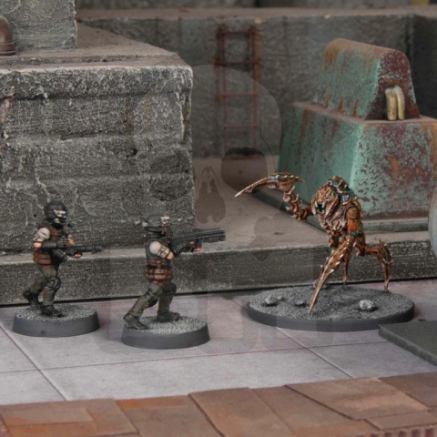 Harvesters - Alien Bugs - pajęczaki z kosmosu 6 szt.