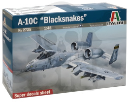 1:48 A-10C Thunderbolt II Blacksnakes