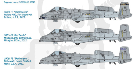 1:48 A-10C Thunderbolt II Blacksnakes