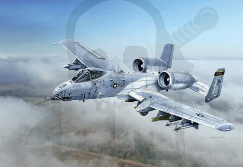 1:48 A-10C Thunderbolt II Blacksnakes