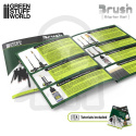 Green Stuff Starter Brush Set