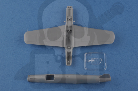 Hobby Boss 80293 Dornier Do335 Pfeil Heavy Fighter 1:72