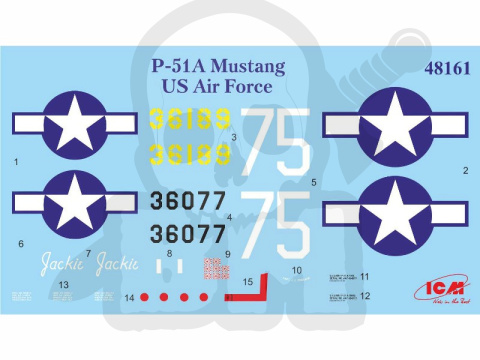 Mustang P-51A WWII American fighter 1:48