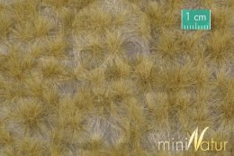 MiniNatur: Tuft - Długa późnojesienna trawa 12 mm (15x4 cm)