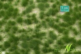 MiniNatur: Tuft - Długa letnia trawa 12 mm (15x4 cm)