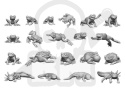 3D Printed Frogs and Toads - żaby i ropuchy 20 szt.