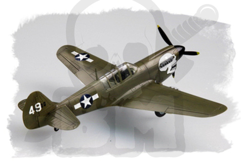 Hobby Boss 80252 P-40N Warhawk 1:72