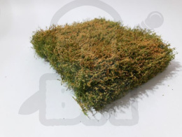 MiniNatur: Kwitnący na pomarańczowo żywopłot (12x14 cm)