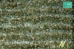 MiniNatur: Paski roślin ziemniaka kwitnącego na biało 420 cm