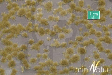 MiniNatur: Tuft - Krótka późnojesienna trawa (42x15 cm)