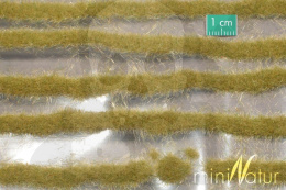 MiniNatur: Tuft - Paski późnojesiennej trawy (42x15 cm)