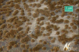 MiniNatur: Tuft - Późnojesienne poduszki mchu (42x1 cm)