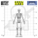 3D printed set Human Skeletons 1:48 - ludzkie szkielety 4 szt.