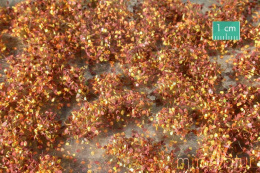 MiniNatur: Tuft - Późnojesienne chwasty 1 (42x15 cm)