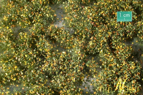 MiniNatur: Tuft - Wczesnojesienne chwasty 1 (42x15 cm)