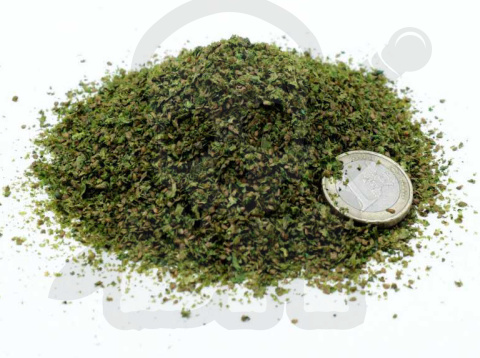 Small Leaf Litter - Spring Green - liście 10g