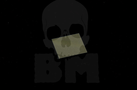 1:35 Lekki czołg M24 "Chaffee"