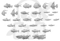 3D printed set - Fish Collection - ryby 30 szt.