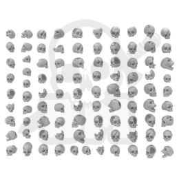 3D printed set - Resin Skulls - czaszki 85 szt.