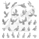 3D printed set - Pigeons 1:48-1:35 - gołębie ptaki 26 szt.