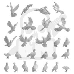 3D printed set - Pigeons 1:48-1:35 - gołębie ptaki 26 szt.