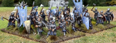 Elf Heavy Infantry - ciężka piechota elfów - 5 szt. (1 ramka)