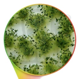 Shrubs Tufts - 6mm self-adhesive Dark Green - ciemnozielone kępki roślin