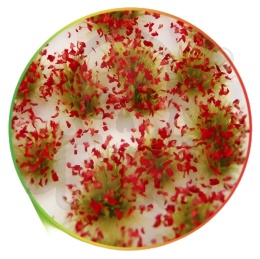 Shrubs Tufts - 6mm self-adhesive Red Flowers - kępki roślin czerwone kwiaty