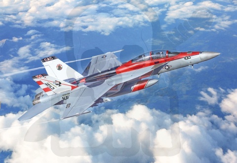 1:48 F/A-18F Super Hornet U.S. Navy Special Colors