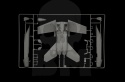 1:48 Model samolotu F/A-18E Super Hornet
