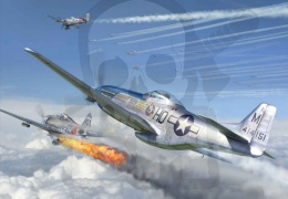 Forces of Valor 873010A U.S. P-51D Mustang January 1945