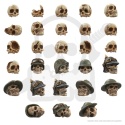 3D printed set - 1000x Battlefield Resin Skulls 1:48-1:35 - tysiąc czaszek